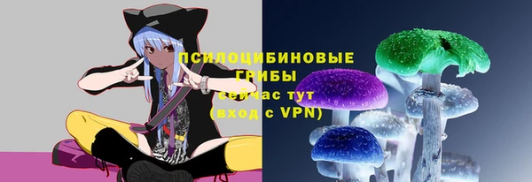 спиды Верея