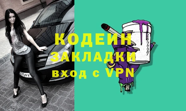 спиды Бородино